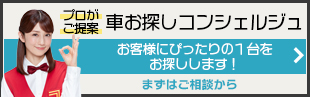 お車のお探し代行