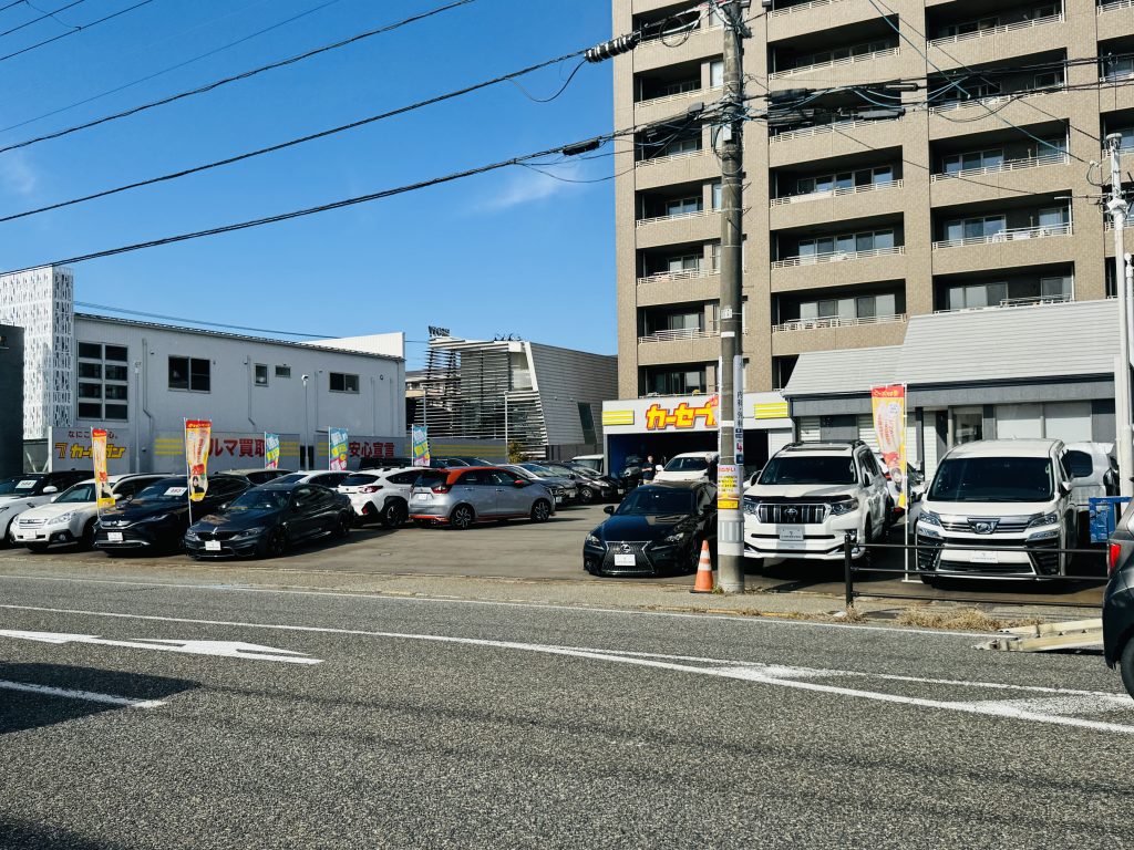 http://IMG_2566
