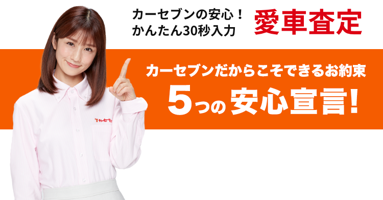 カーセブンの安心！かんたん30秒入力愛車査定