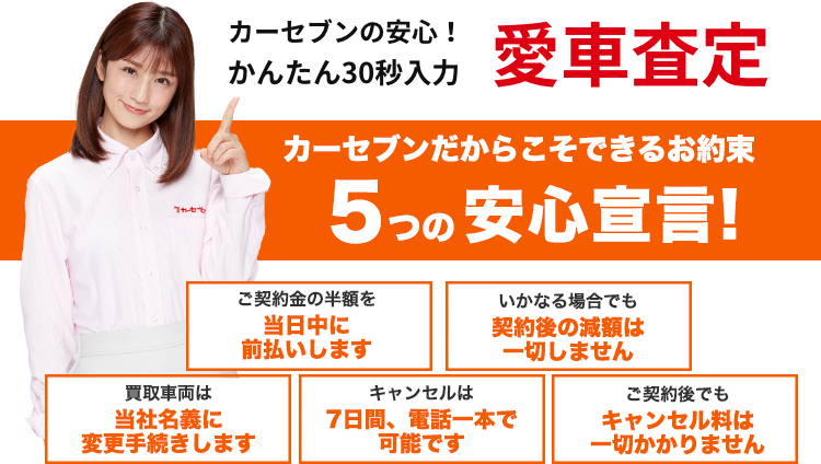 カーセブンの安心！かんたん30秒入力愛車査定