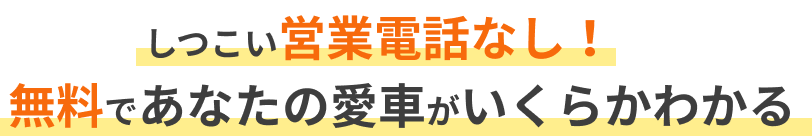 しつこい営業電話なし!無料であなたの愛車がいくらかわかる